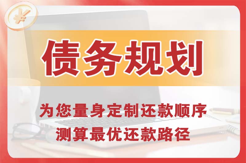 望江债务规划